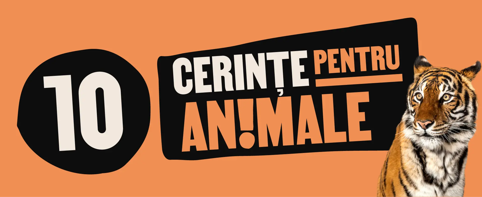 10 cerinte pentru animale