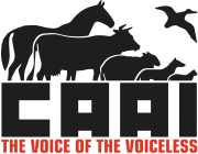 Logo for CAAI: The Voice of the Voiceless